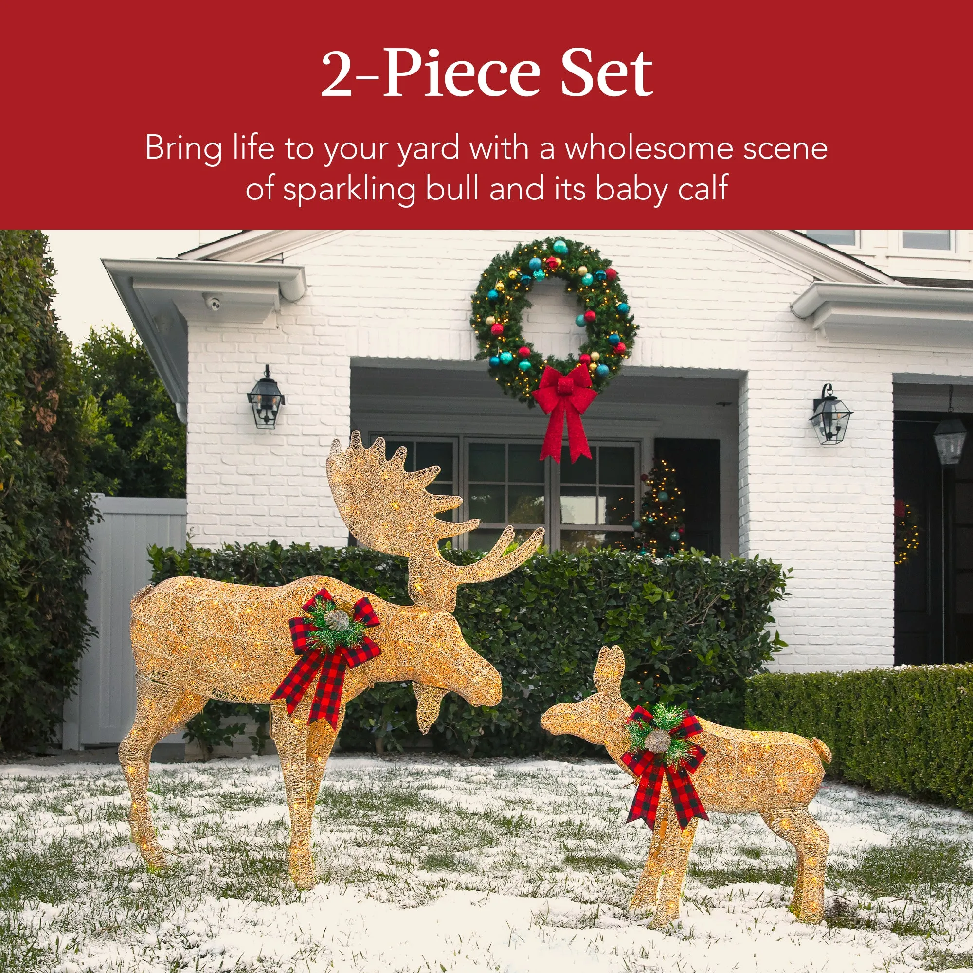 2-Piece Moose Family Lighted Outdoor Christmas Decoration Set w/ 170 Lights