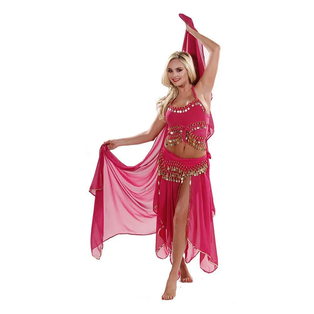 Belly Dance Skirt, Veil, Tank Top, & Hip Scarf Costume Set | TREMENDOUS