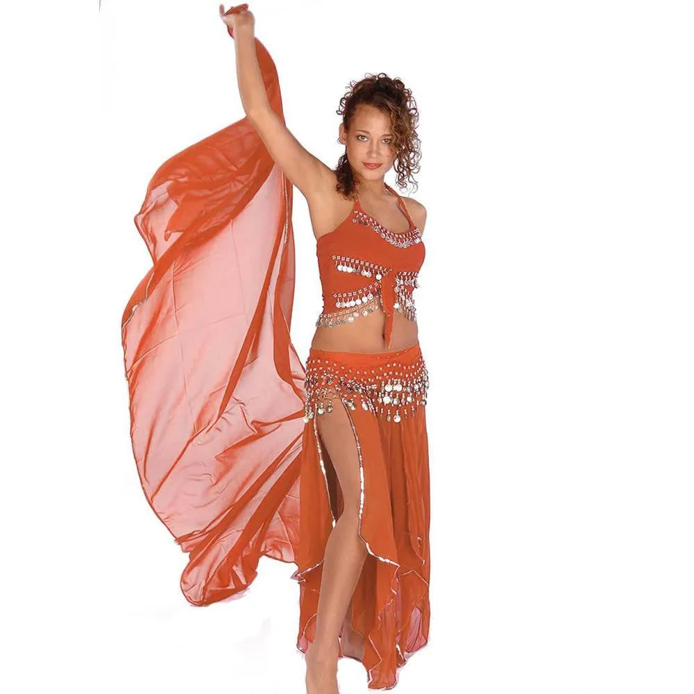 Belly Dance Skirt, Veil, Tank Top, & Hip Scarf Costume Set | TREMENDOUS