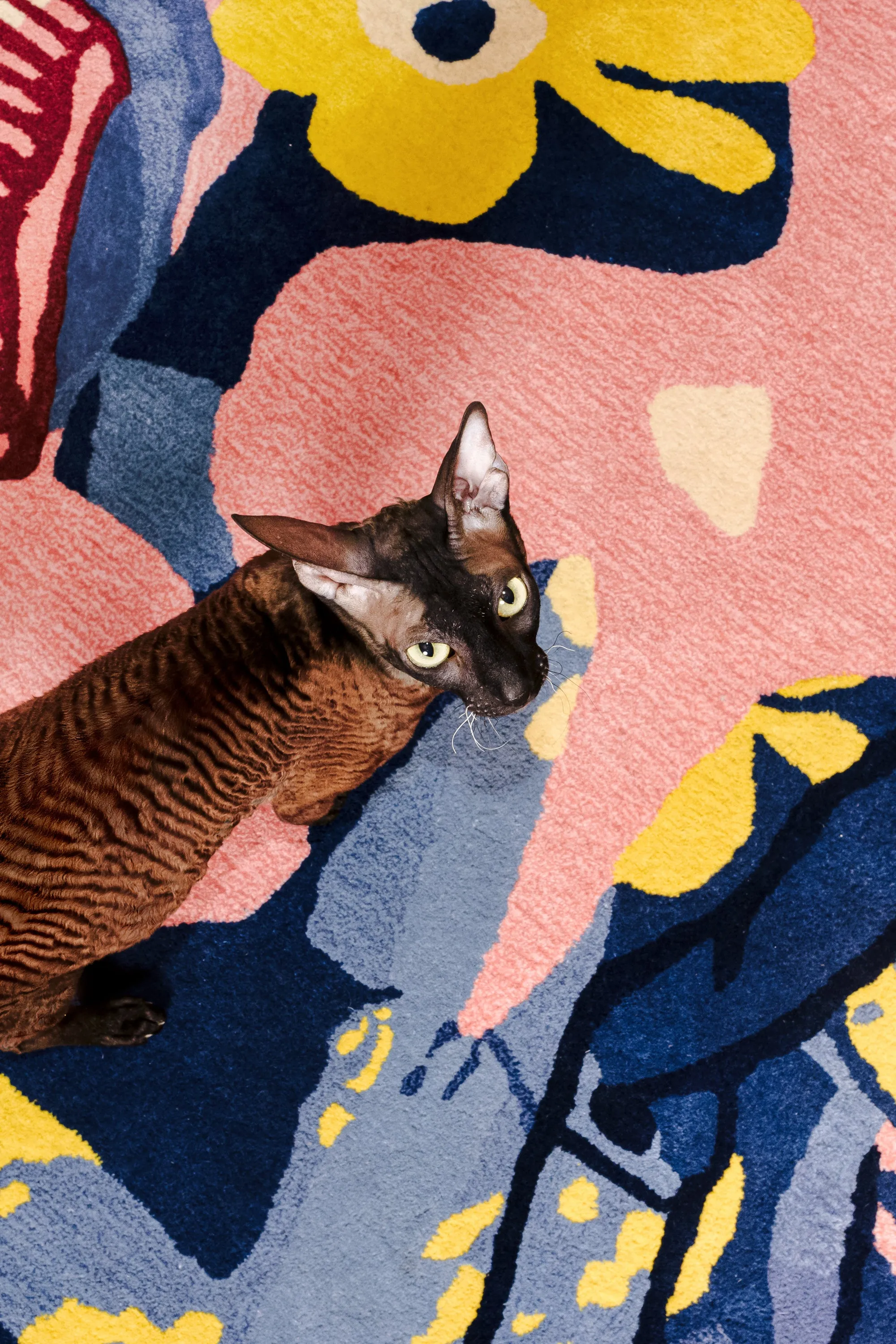 CC-TAPIS x P.A.M. - 'MOVING IMAGE JUMPER' RUG