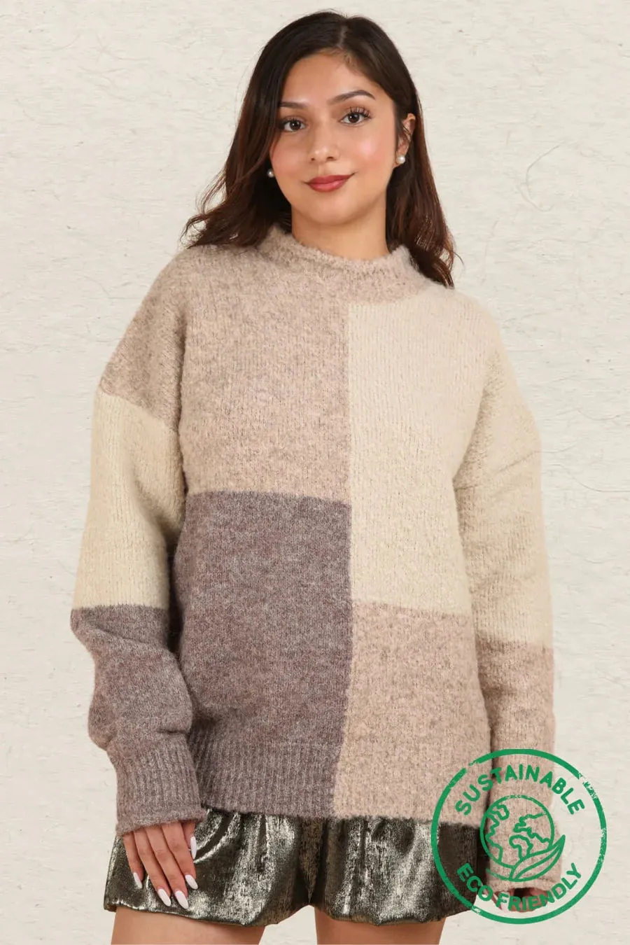 Eco Oversized Color Block Cozy Knit Sweater Top