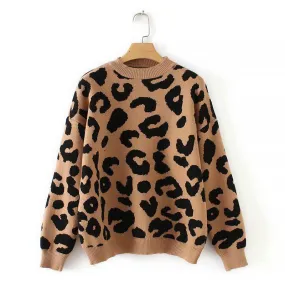 Leopard Print Knit Sweater with Long Sleeves