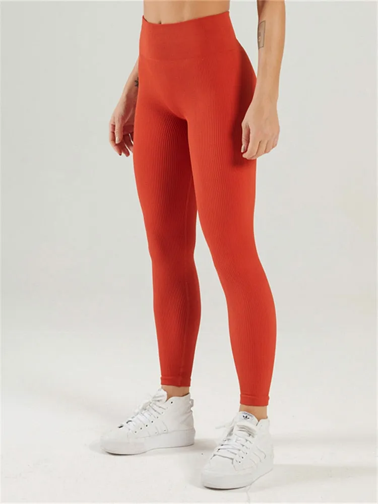 New Tossy Ribbed Yoga Leggings