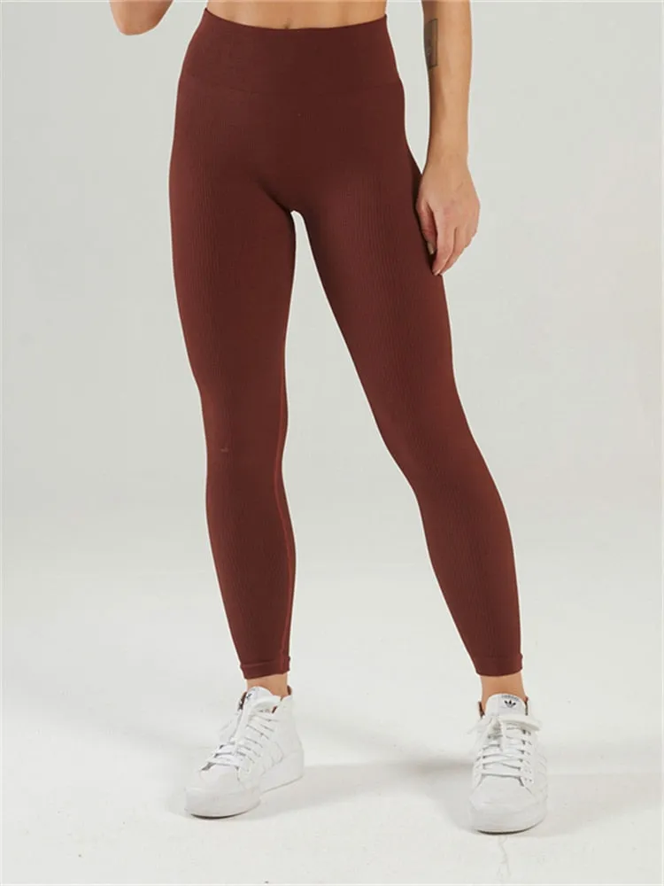 New Tossy Ribbed Yoga Leggings