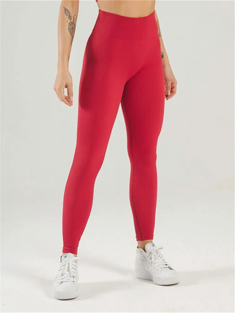 New Tossy Ribbed Yoga Leggings