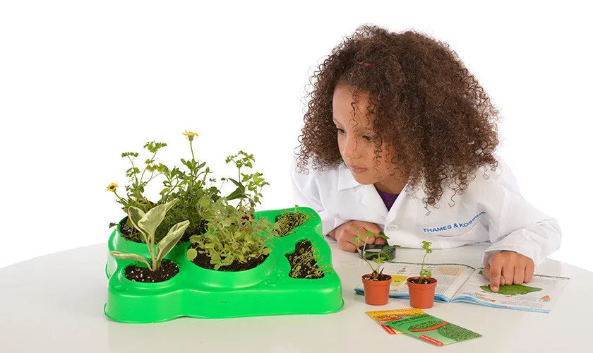 "Botany: Experimental Greenhouse" - Science Kit