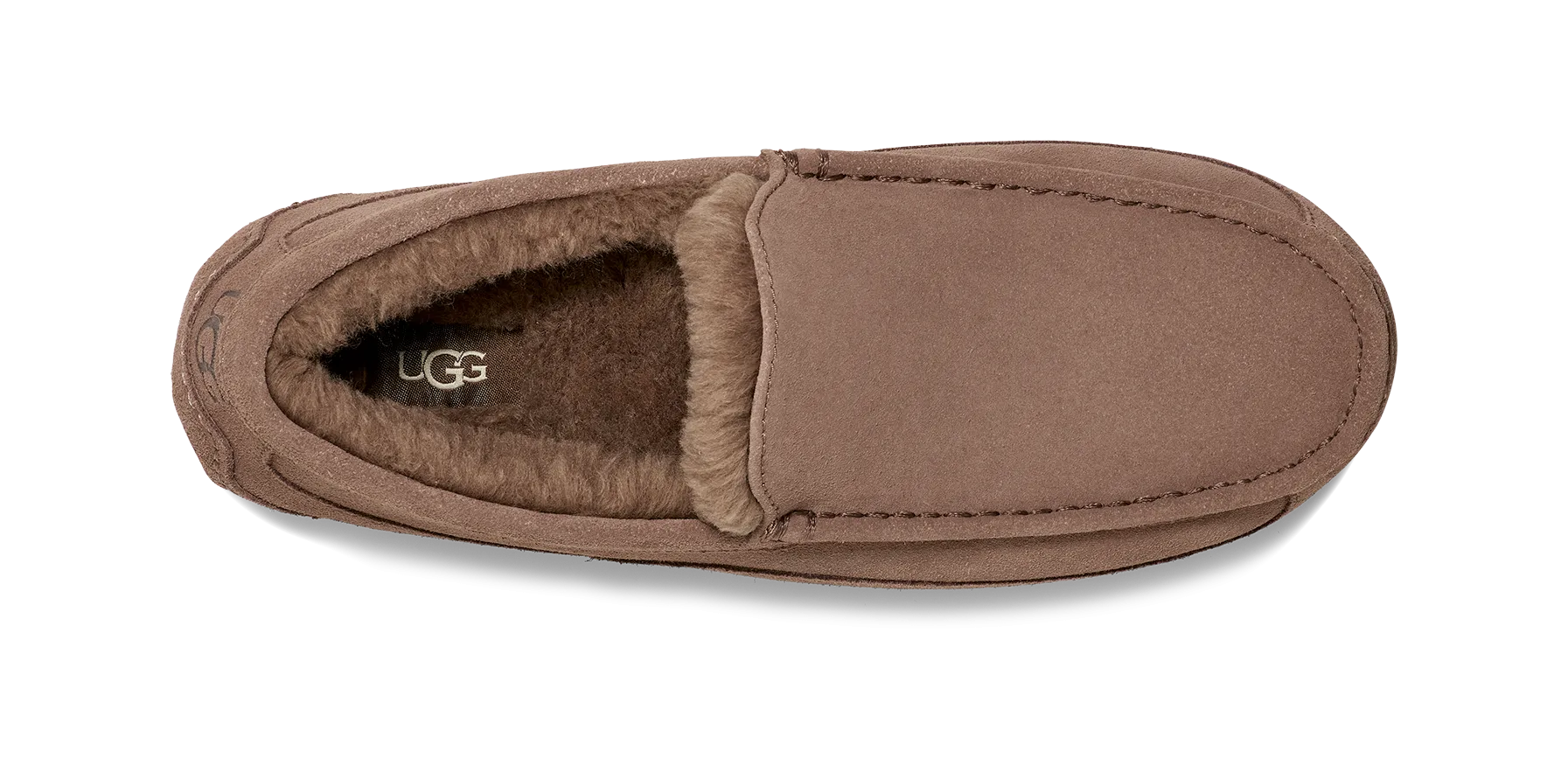 UGG Ascot Slipper Men's